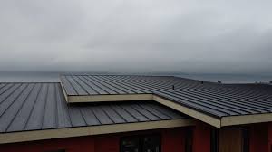 Steel Roofing in Centerfield, UT